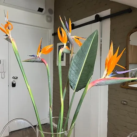 Appartement S E C R E T D I A M O N D - Turijn