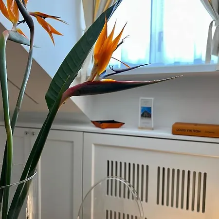 Apartamento S E C R E T D I A M O N D -